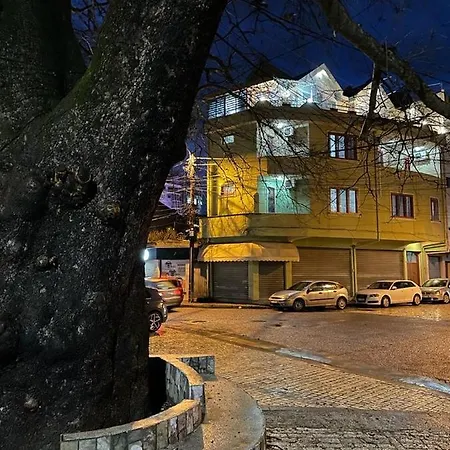 Maison Centre Shkodër